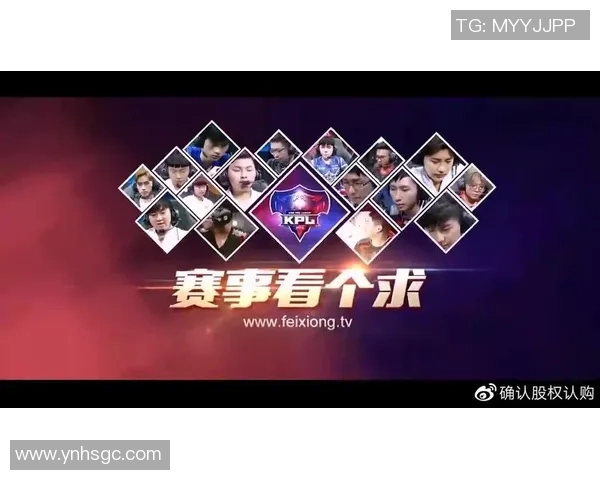 王者荣耀团队配合评比结果揭晓RNG荣登榜首引发热议